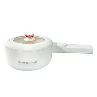 বহু উদ্দেশ্য বৈদ্যুতিক কুকার